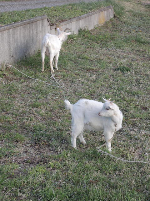 DSCN8190.JPG